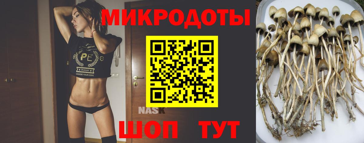 Галлюциногенные грибы мухоморы Балашиха
